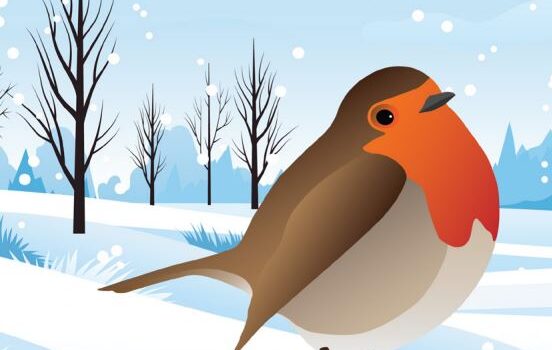 The Grapevine Seamer & Tame Bridge Magazine The Grapevine Seamer & Tame Bridge Magazine